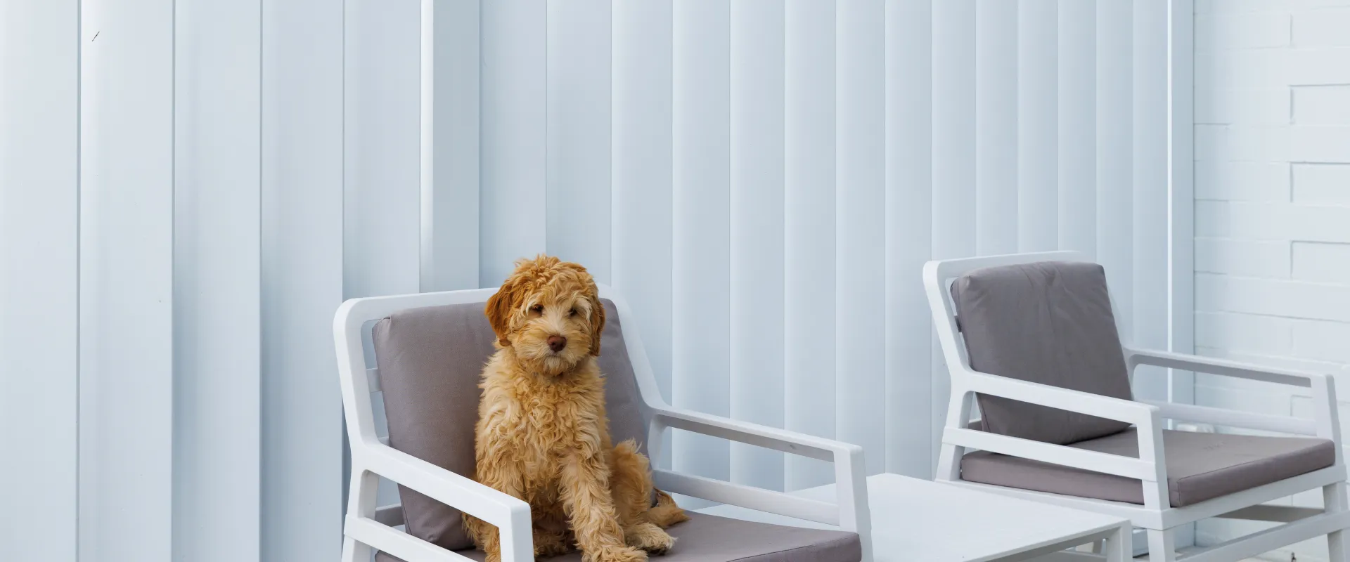 165 Hi Span Louvres, Motorised