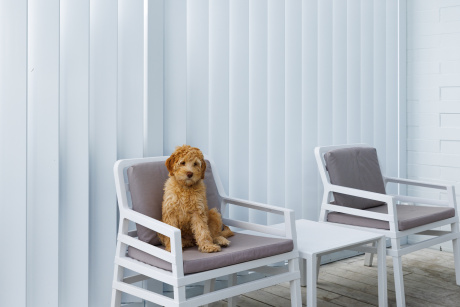 165 Hi Span Louvres, Motorised